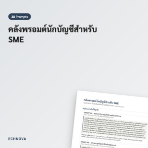 โปรแกรมพรอมต์นักบัญชี SME 30 แบบพร้อมใช้